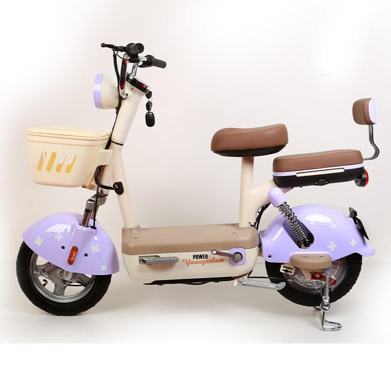 Bicycle Electric Mountain Electric Bike suppliers